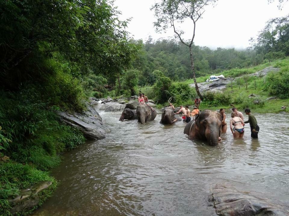 Хостел Keta' Jungle Trek House Чіангмай Екстер'єр фото